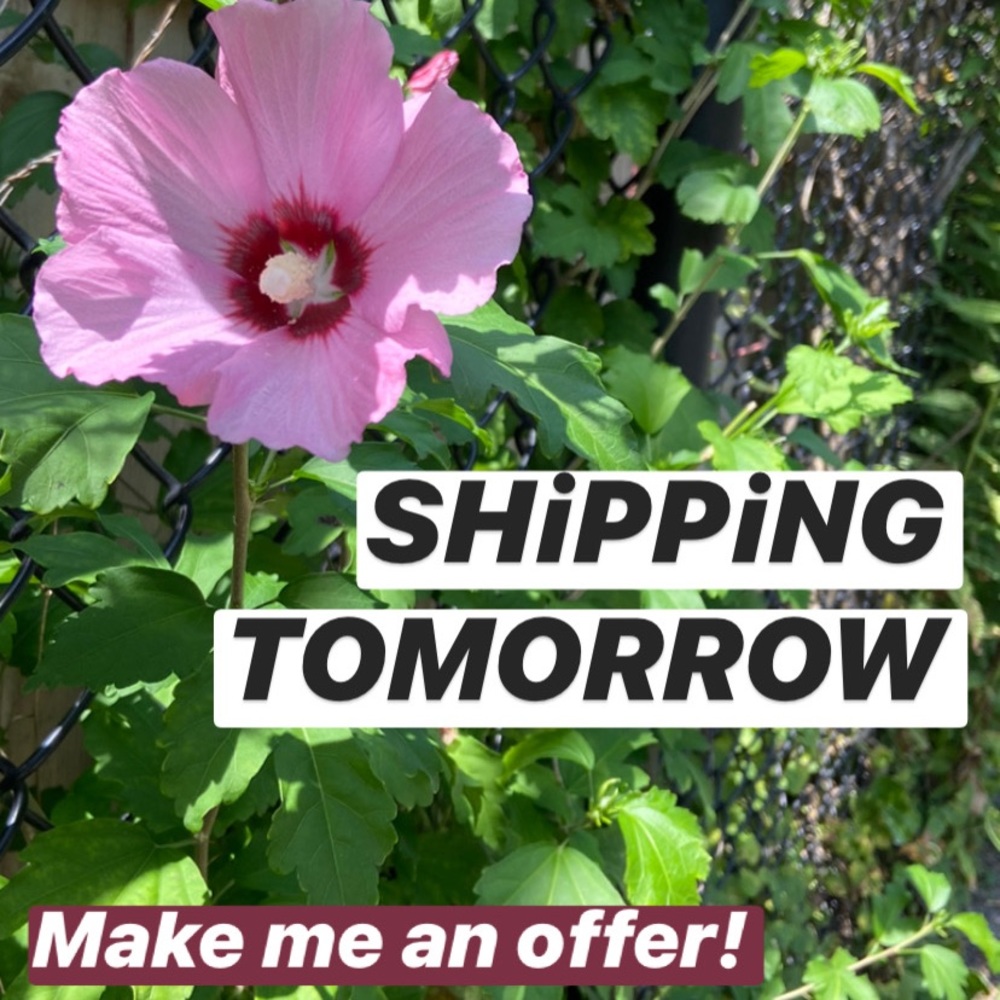 Make me an offer!